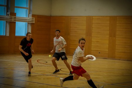 (c) Frisbee Verein Flying Circus unbenannt_09856.jpg