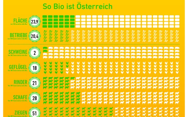 Grafik "So bio ist Österreich". In Relation zur Zahl 100 sind 23,9 Hektar Fläche Bio. Von 100 Bauern sind 20,4 Betriebe Bio. Von 100 jeweils 2 Schweine, 18 Geflügeltiere, 21 Rinder, 28 Schafe, 51 Ziegen.