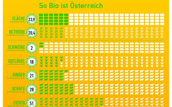 Grafik "So bio ist Österreich". In Relation zur Zahl 100 sind 23,9 Hektar Fläche Bio. Von 100 Bauern sind 20,4 Betriebe Bio. Von 100 jeweils 2 Schweine, 18 Geflügeltiere, 21 Rinder, 28 Schafe, 51 Ziegen.