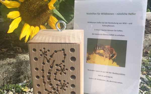 Nisthilfe für Insekten aus Holz mit Löchern und einem Eidechsen-Muster. Dahinter steht eine Infotafel.