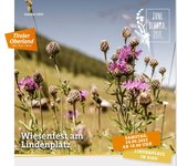 Event-Bild Wiesenfest